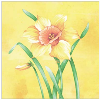 servítky, obrúsky a prestieranie Mank