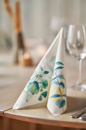 Obrúsky DUNI D-Soft 40X40Cm Spire 60 ks