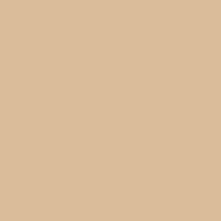 Servítky Dunisoft BIO 40x40cm Natural brown (60ks) Servítky Dunisoft BIO 40x40cm Natural brown (60ks)