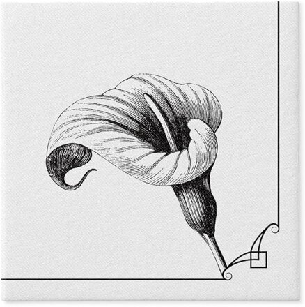 MEMORY FLOWER 40x40/50 ks servítky Airlaid, PAW