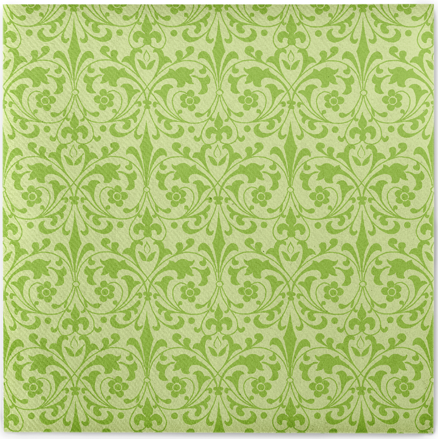 Servítky JANET pistazie 40x40/50 ks, Linclass