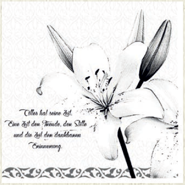 Servítky ZUM ABSCHIED 40x40 / 100 ks papier, Mank