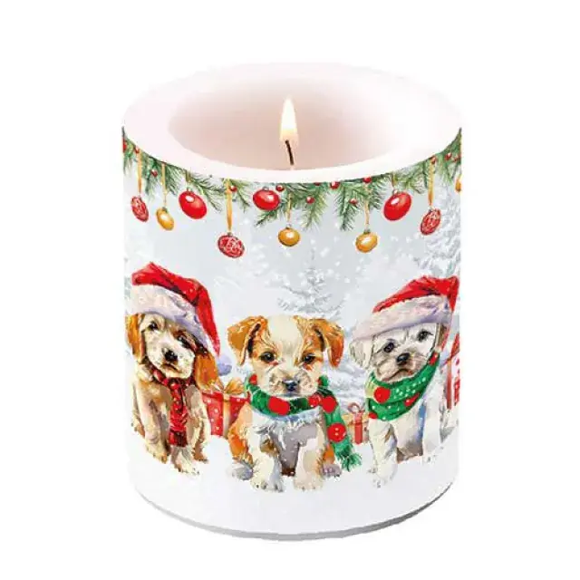 Vianočná sviečka Funny cute puppies