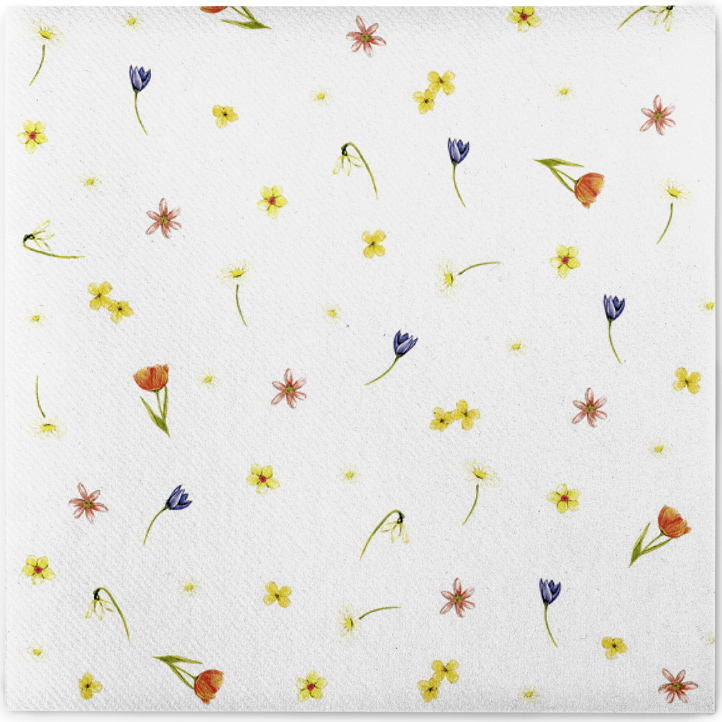 BETTY 40x40/50 SERVÍTKY Linclass