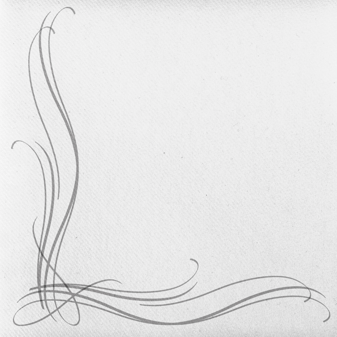 Servítky ALEX silber 40x40/50, Linclass