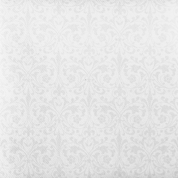 Servítky JANET Hellgrau 40x40/50 ks, Linclass