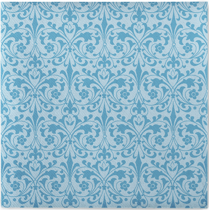 Servítky JANET aqua 40x40/50 ks Linclass