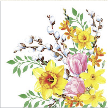 Servítky ANTJE, 40x40 Linclass, Mank - 50 ks