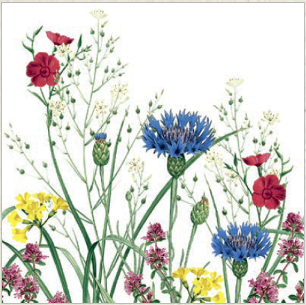 Servítky EDITH, 40x40 Linclass, Mank -50 ks