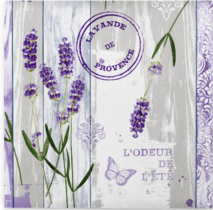 Servítky LAVINIA 40x40 Linclass, Sovie Horeca